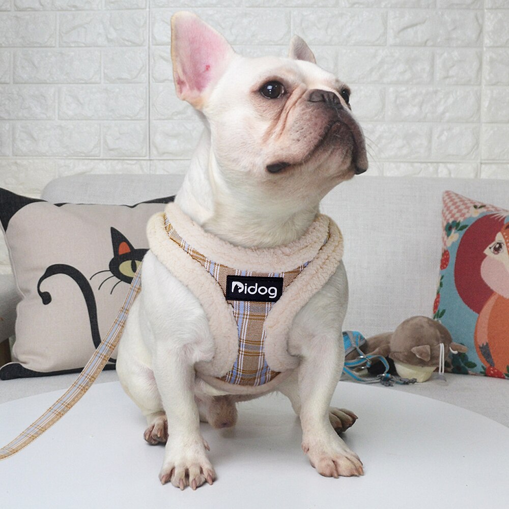 Winter Small Dog Harness Vest and Leash Set Cotton Comfortable Soft Puppy Dog Harness and Leads Cat Pet Harness for Small Dogs