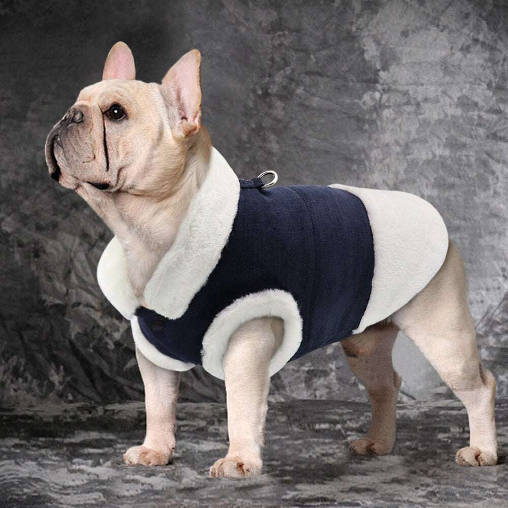 Winter Dog Pet Coat Warm Dog Cat Clothes Vest Jacket for Small Dogs Windproof Pet Puppy Clothing for Chihuahua Yorkie