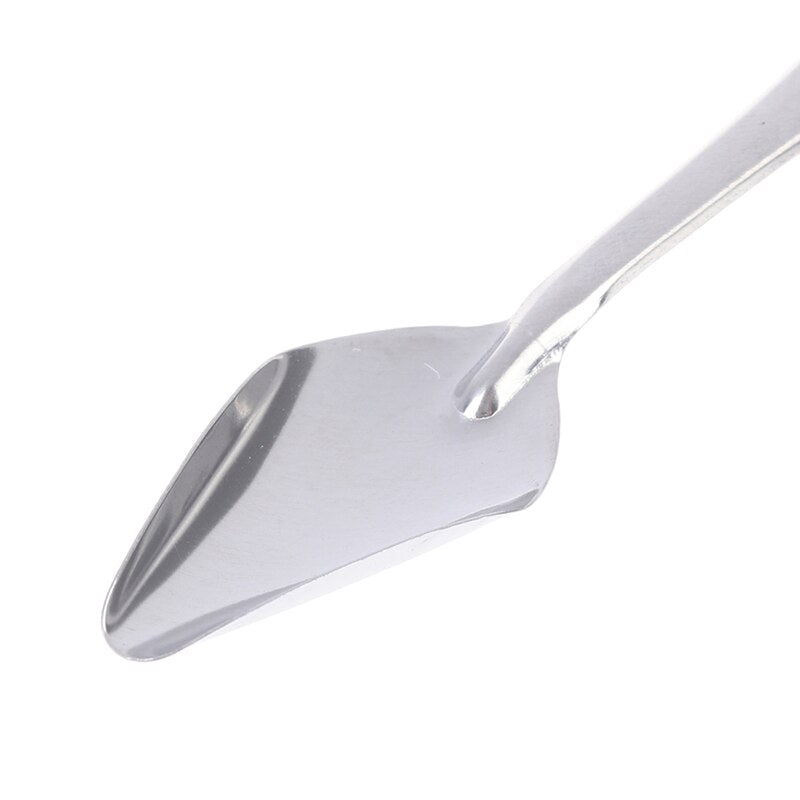 Parrot Feeding Spoon 2/5PCS Stainless Steel Pointed Hand Feeding Spoons Water Milk Powder Bird Feeder For Pet Peony Cockatiel