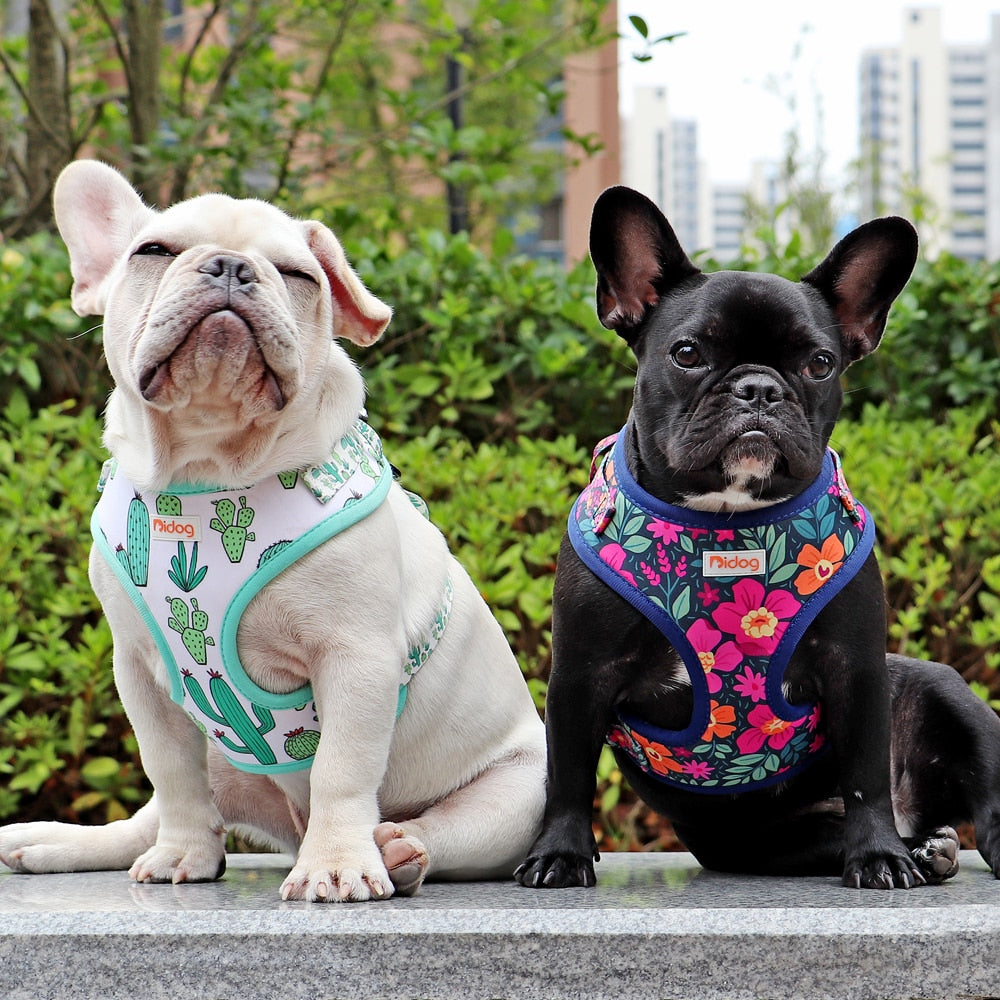 Flower Print Small Dog Harness Nylon Mesh Dog Cat Harness Soft Padded Vest For Small Medium Dogs Cats Chihuahua French Bullldog