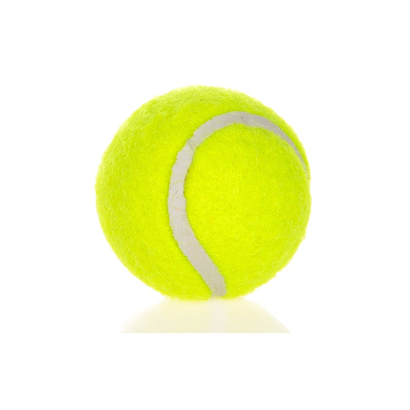 HOOPET Dog Toy Six Tennis Balls Bite-resistant Dogs Puppy Teddy Training Product Pet Supplies