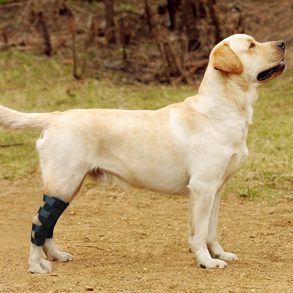 Dog Recovery Sleeve Knee Pad Large Dog Support Ankle Brace Breathable Hind Leg Hock Joint Wrap Injury Recover Dog Legs Protector
