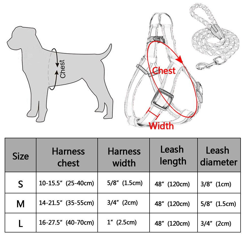 Small Dog Harness and Leash Set Reflective Nylon Adjustable Small Dog Harness Leads Rope Set for Small Medium Dog Red Black Blue