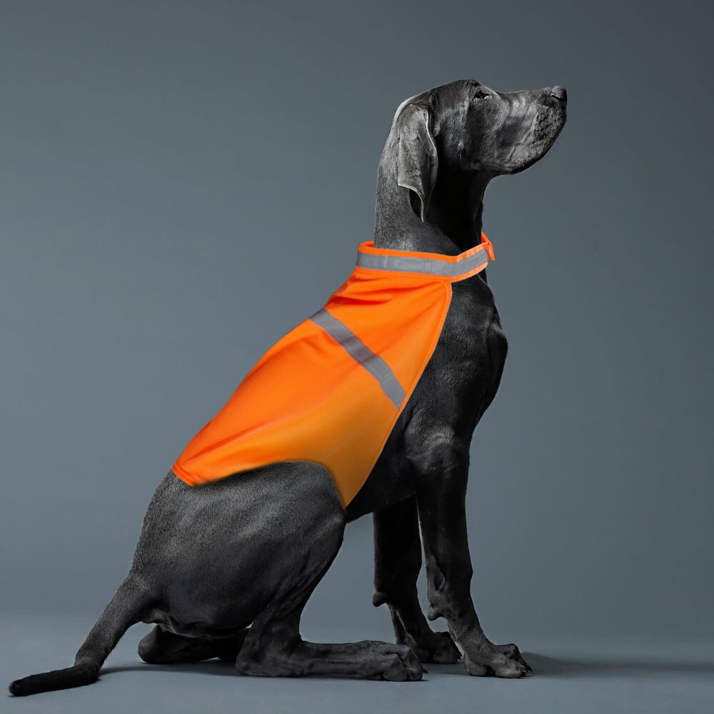 Reflective Dog Safety Vest Fluorescent High Visibility Dog Clothes Waterproof Luminous Pet Clothing for Small Medium Large Dogs