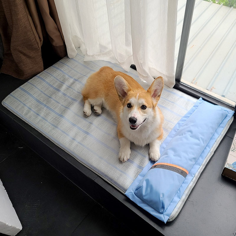 HOOPET Summer Dog Bed Thick Mat for Dogs Pet Sofa with Pillow for Small Medium Large Dogs Cats Cooling Dog Pad Pet Supplies