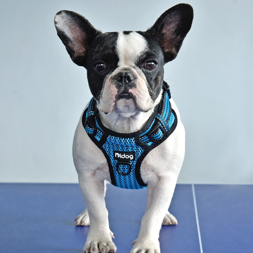 Nylon Dog Harness Reflective Bull Dog Harness Step In No Pull Pet Pug Harnesses Adjustable for Small Medium Dogs Pitbull Puppy