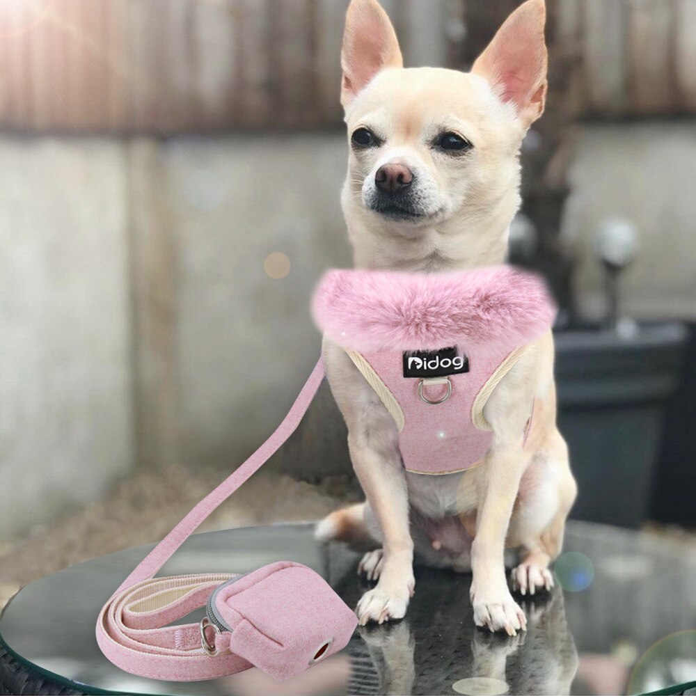 Soft Dog Harness Leash With Cute Bag Pet Puppy Cat Warm Mesh Vest Harness Walking Strap Adjustable For Small Medium Large Dogs
