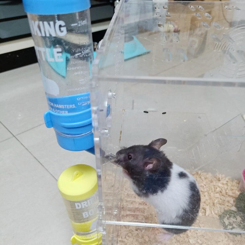 Hamster Water Bottle Cage Kennel Hanging Drinking Dispenser For Bunny Guinea Pig Leakproof Automatic Feeding Device 60/125/250ML