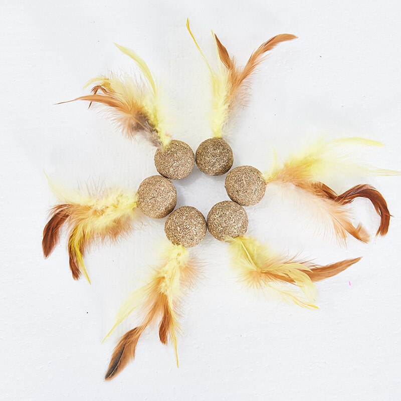4Pcs Feather Catnip Plant Cat Chew Toy Natural Catnip Ball Interactive Cat Toys For Indoor Kitty Teeth Cleaning Pet Accessories