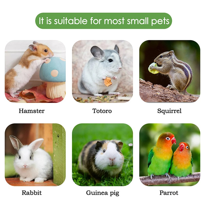 3pcs Carrot Grass Cake Bunny Chew Toys Teeth Grinding Toy Rabbit Treats Clean Teeth For Rabbits Hamsters Chinchilla Guinea Pigs