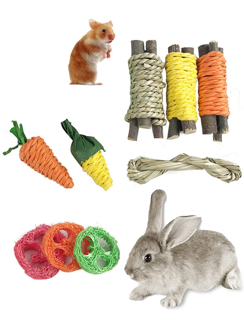 Small Animal Chew Toy Rabbit Carrot Grind Teeth Toy Rodent Chew Applewood Stick Molar Toys For Guinea Pig Chinchilla Hamsters
