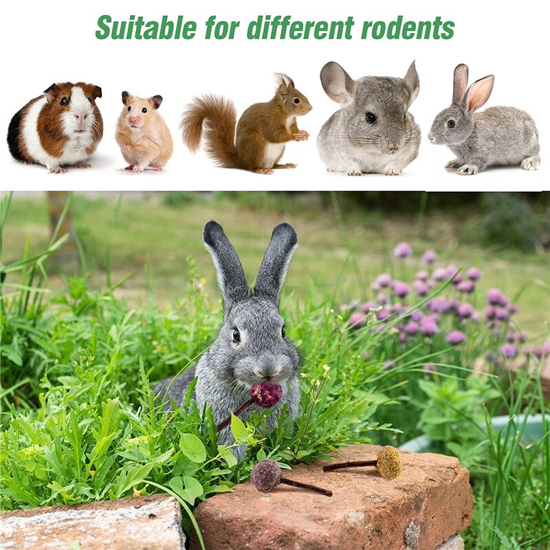 Hamster Natural Flowers Lollipop Timothy Molar Rod Hay Chewing Stick Chew Treat For Rabbits Chinchilla Guinea Pigs Gerbils