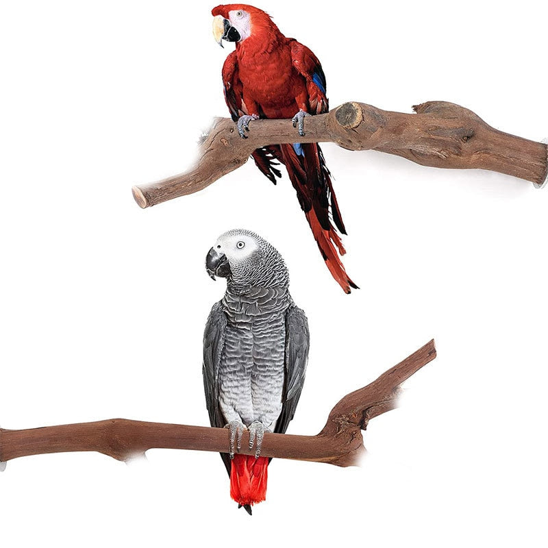 25cm Natural Wood Pet Parrot Raw Wood Fork Tree Grape Branch Stand Rack Toy Bird Branch Stand Perches For Bird Cage Accessories
