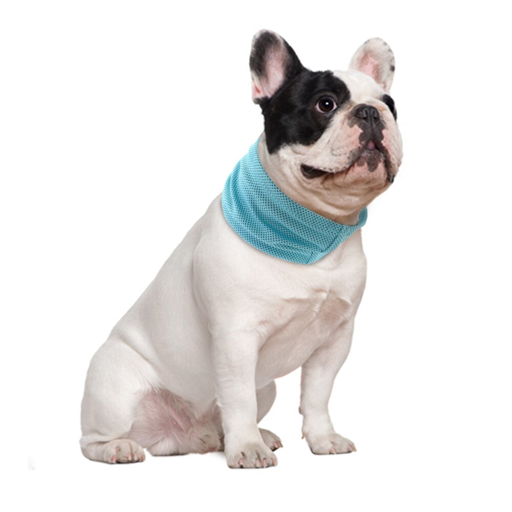 Summer Dog Pet Cooling Bandana Collar Sunstroke Prevention Puppy Scarf Ice Cooling Collars for Small Medium Large Dogs Pitbull