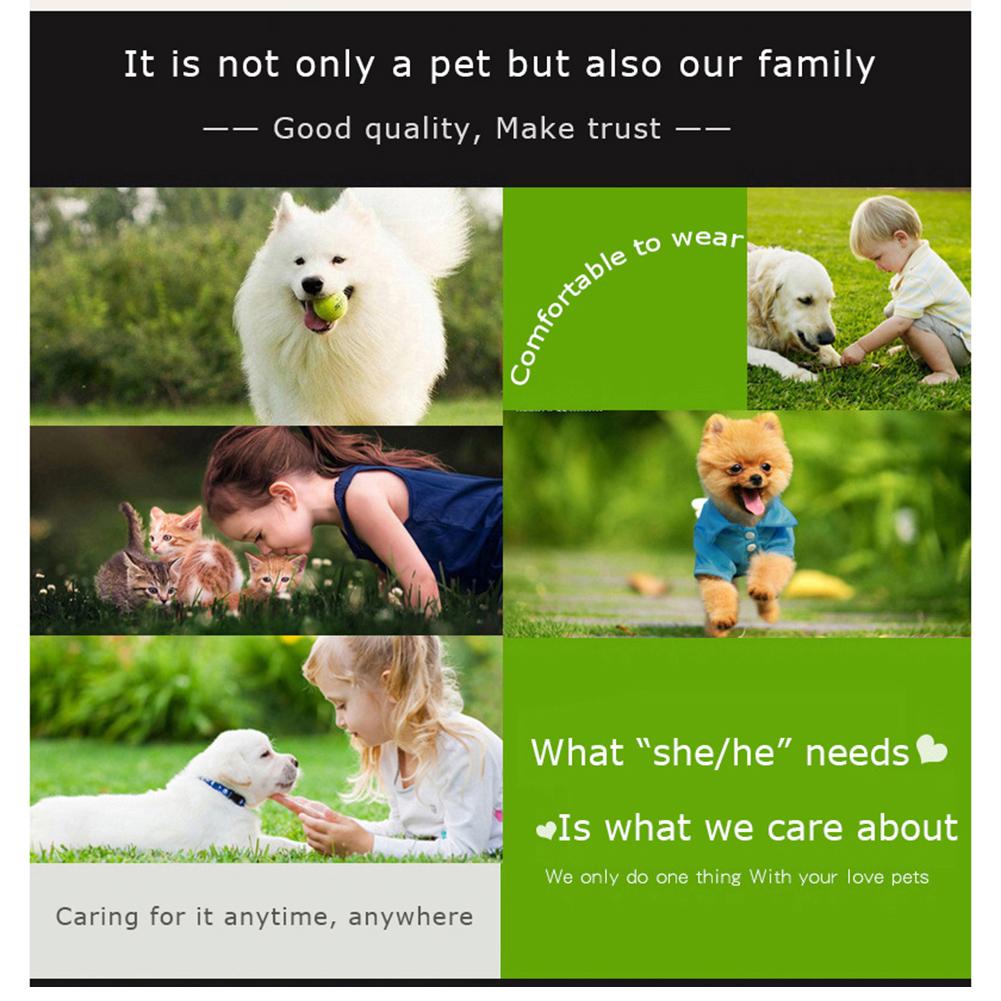 Pet Dog Football Toys Multi-functional Bite-resistant Dog Outdoor Interactive Training Toys Chew Toy