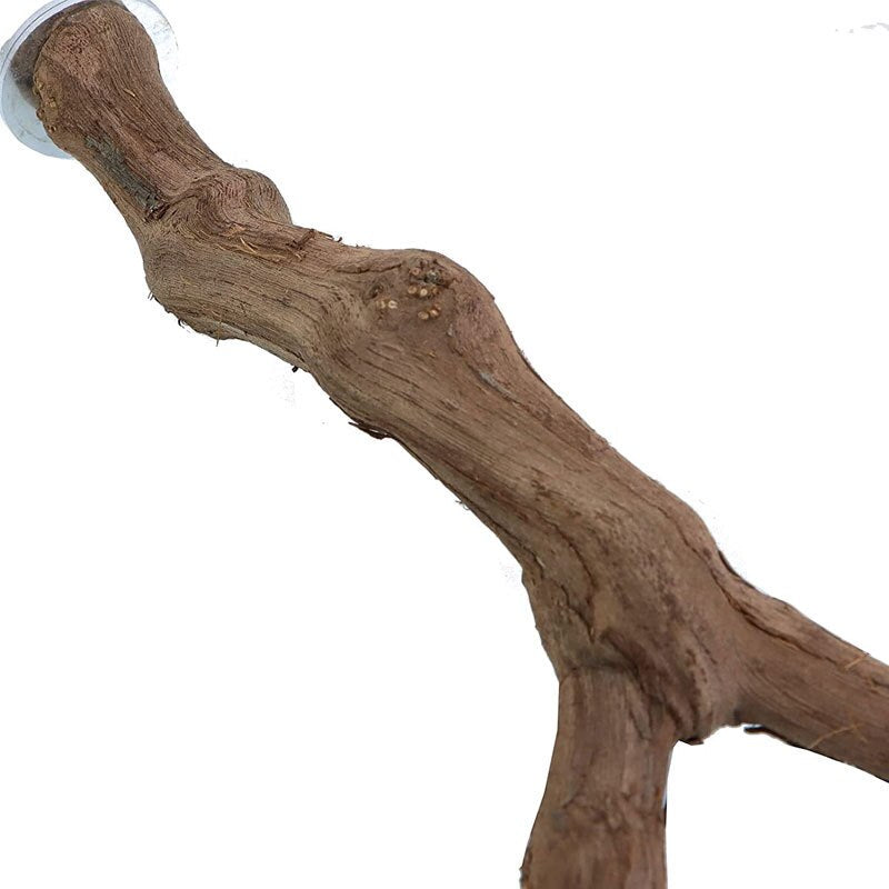 25cm Natural Wood Pet Parrot Raw Wood Fork Tree Grape Branch Stand Rack Toy Bird Branch Stand Perches For Bird Cage Accessories