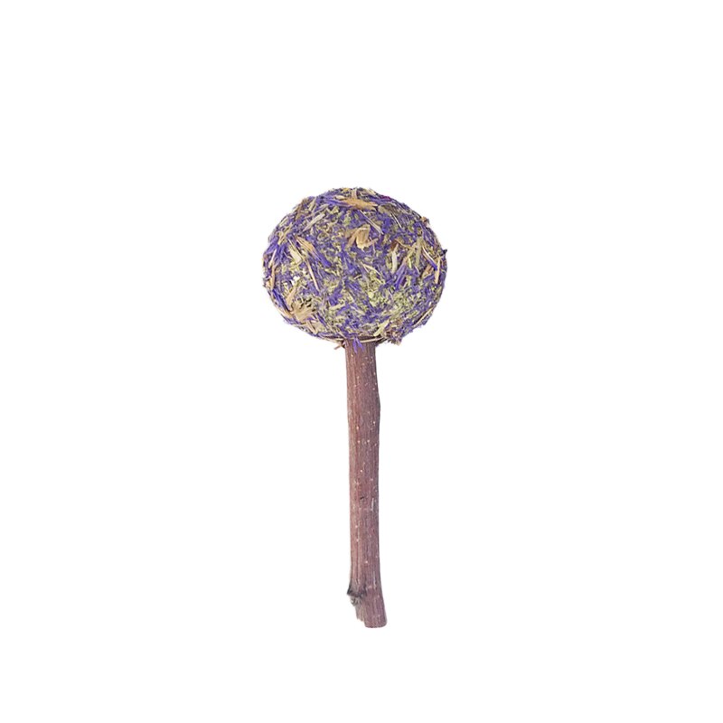 Hamster Natural Flowers Lollipop Timothy Molar Rod Hay Chewing Stick Chew Treat For Rabbits Chinchilla Guinea Pigs Gerbils