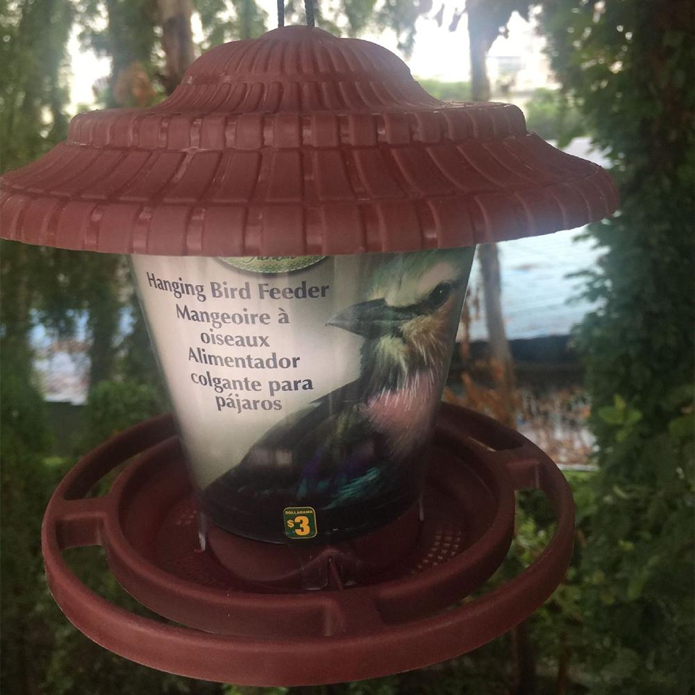 Outdoor Bird Feeder Transparent Plastic Hanging Bird Feeder Bird Supplies Pet Outdoor Feeding Device