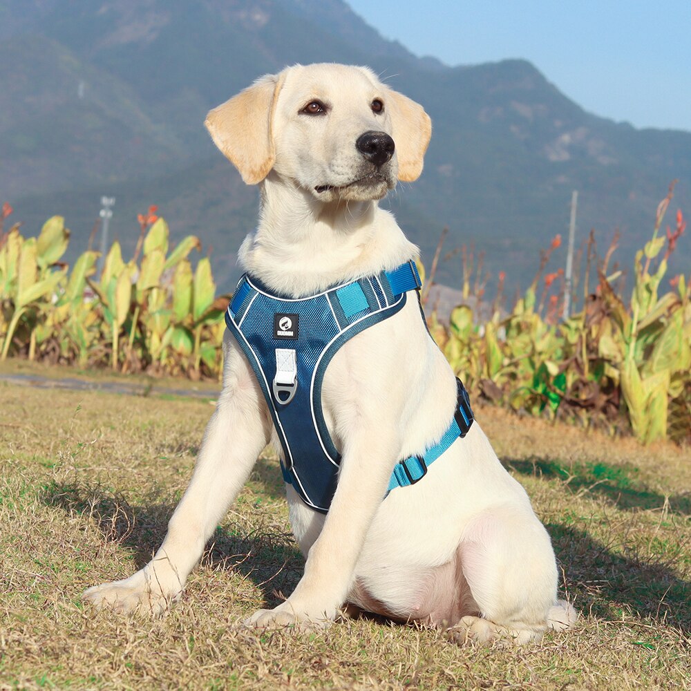 Nylon Reflective Dog Harness Durable Oxford Pet Harness with Handle Adjustable No Pull Pitbull Harness For Medium Large Big Dogs
