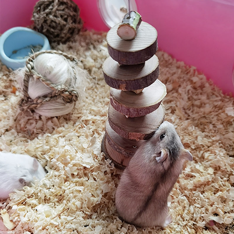 Hamster Chew Toy Small Pet Chinchilla Tooth Grinding Toy Organic Natural Apple Wood String For Guinea Pig Gerbils Cage Pendant