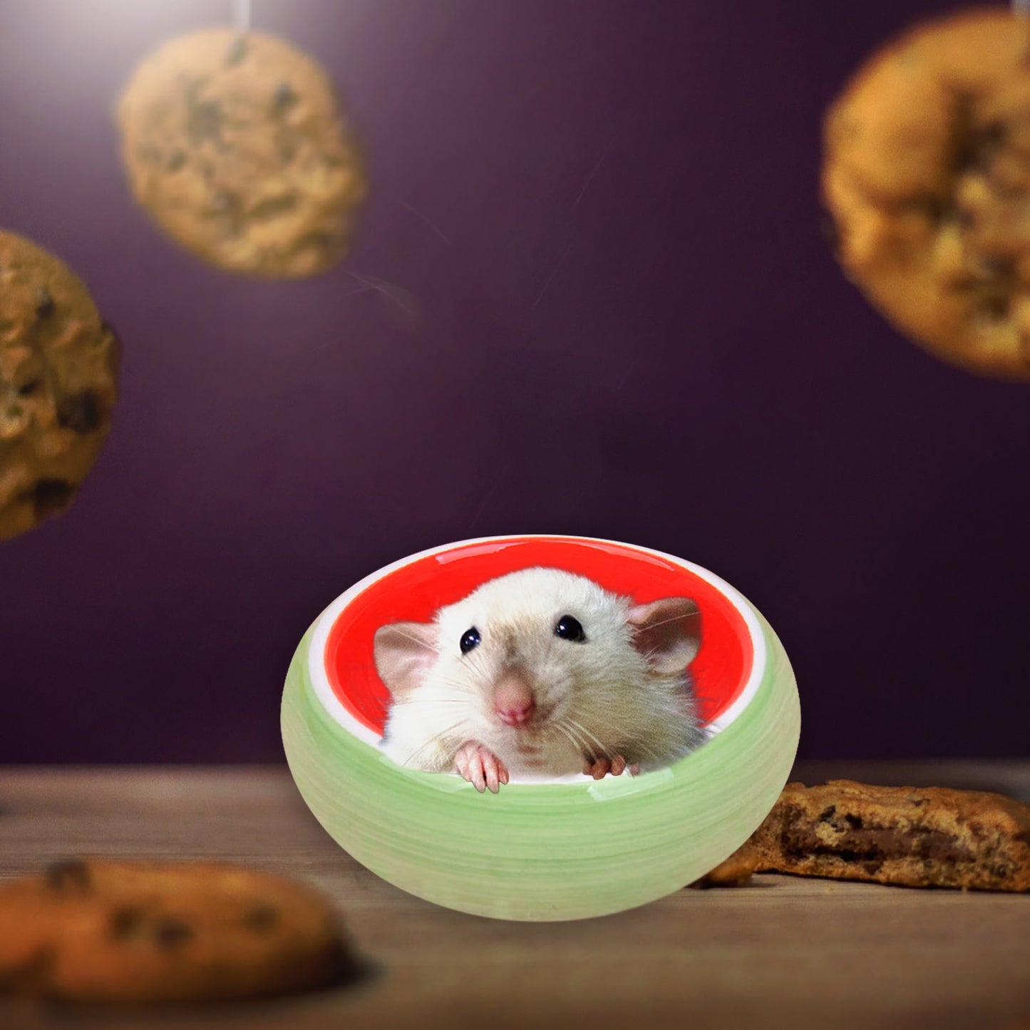 Hamster Bowl Food Dish Ceramic Small Animal Water Food Feeding Bowl for Gerbil Chinchilla Rat Ferret Hedgehog Ceramic Hideout