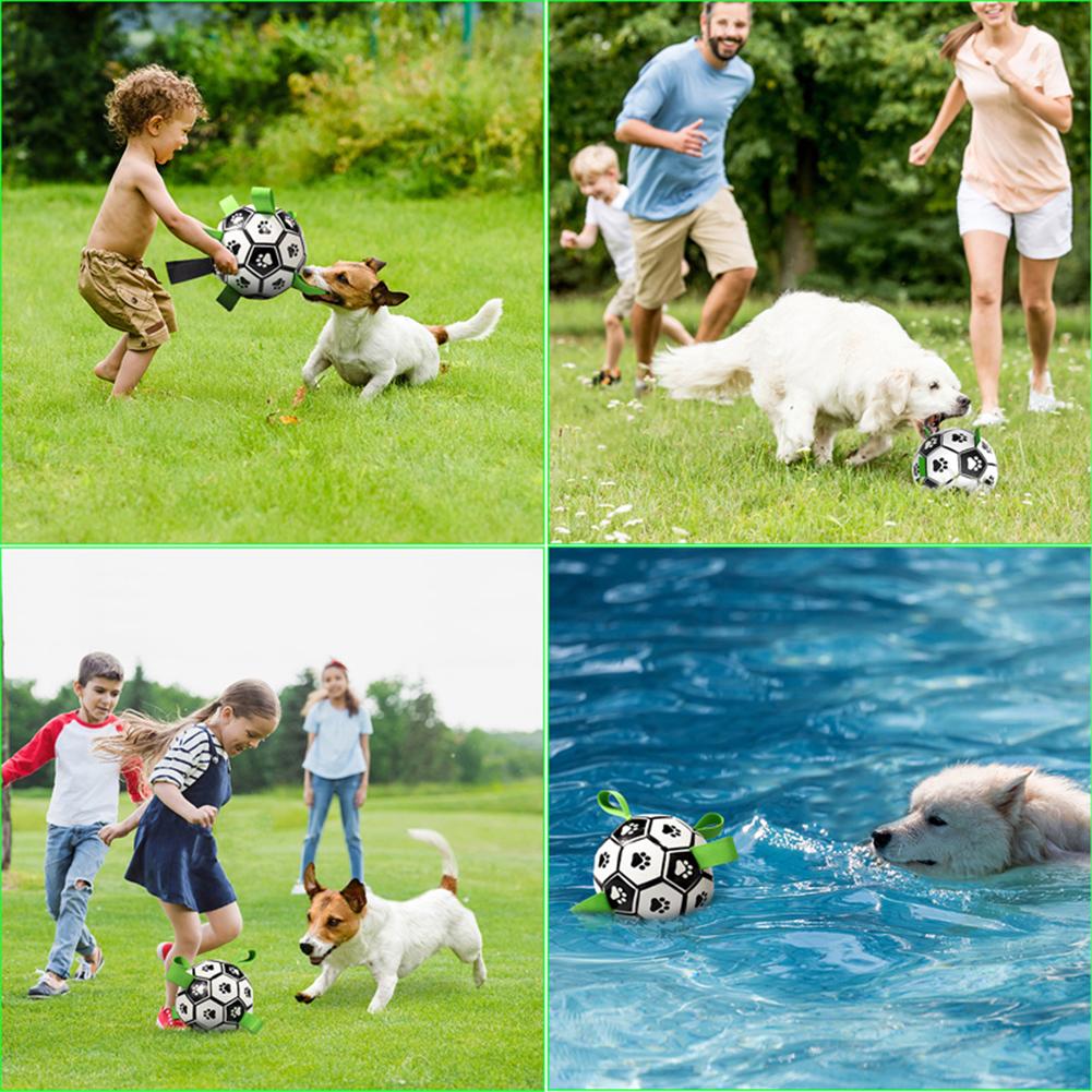 Pet Dog Football Toys Multi-functional Bite-resistant Dog Outdoor Interactive Training Toys Chew Toy