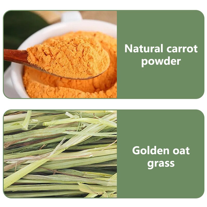 Guinea Pig Bite Grind Teeth Toys Pets Apple Branch Sticks with Grass Ball Molar Bunny Chew Toy for Rabbit Hamster Chinchilla