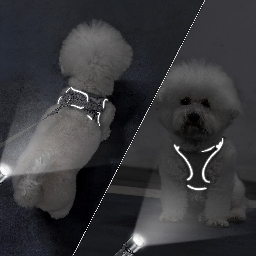 Small Cat Puppy Harness Leash Set Soft Breathable Pet Cat Harness Mesh Cat Vest with Lead for Small Cat Dogs Chihuahua Kitten