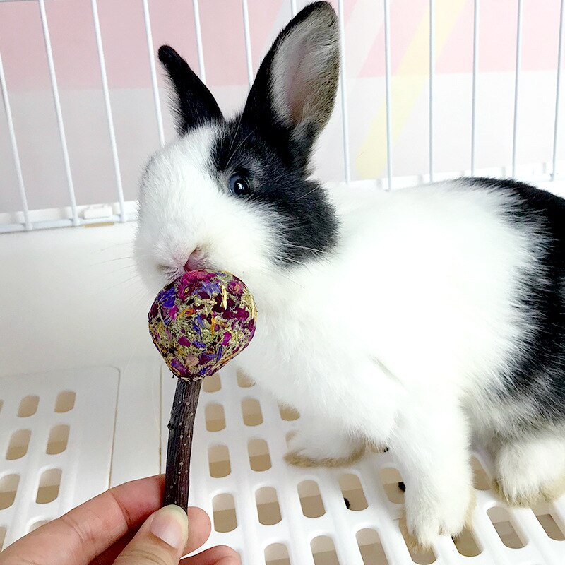 Hamster Natural Flowers Lollipop Timothy Molar Rod Hay Chewing Stick Chew Treat For Rabbits Chinchilla Guinea Pigs Gerbils