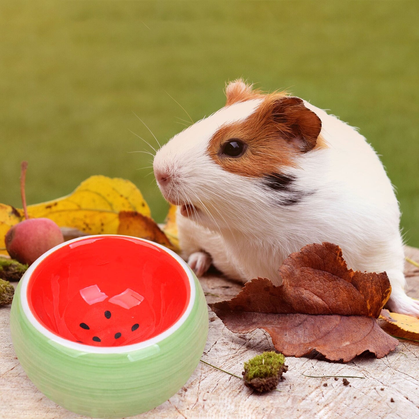 Hamster Bowl Food Dish Ceramic Small Animal Water Food Feeding Bowl for Gerbil Chinchilla Rat Ferret Hedgehog Ceramic Hideout