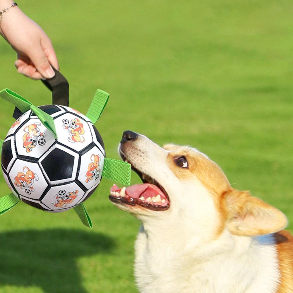 Pet Dog Football Toys Multi-functional Bite-resistant Dog Outdoor Interactive Training Toys Chew Toy
