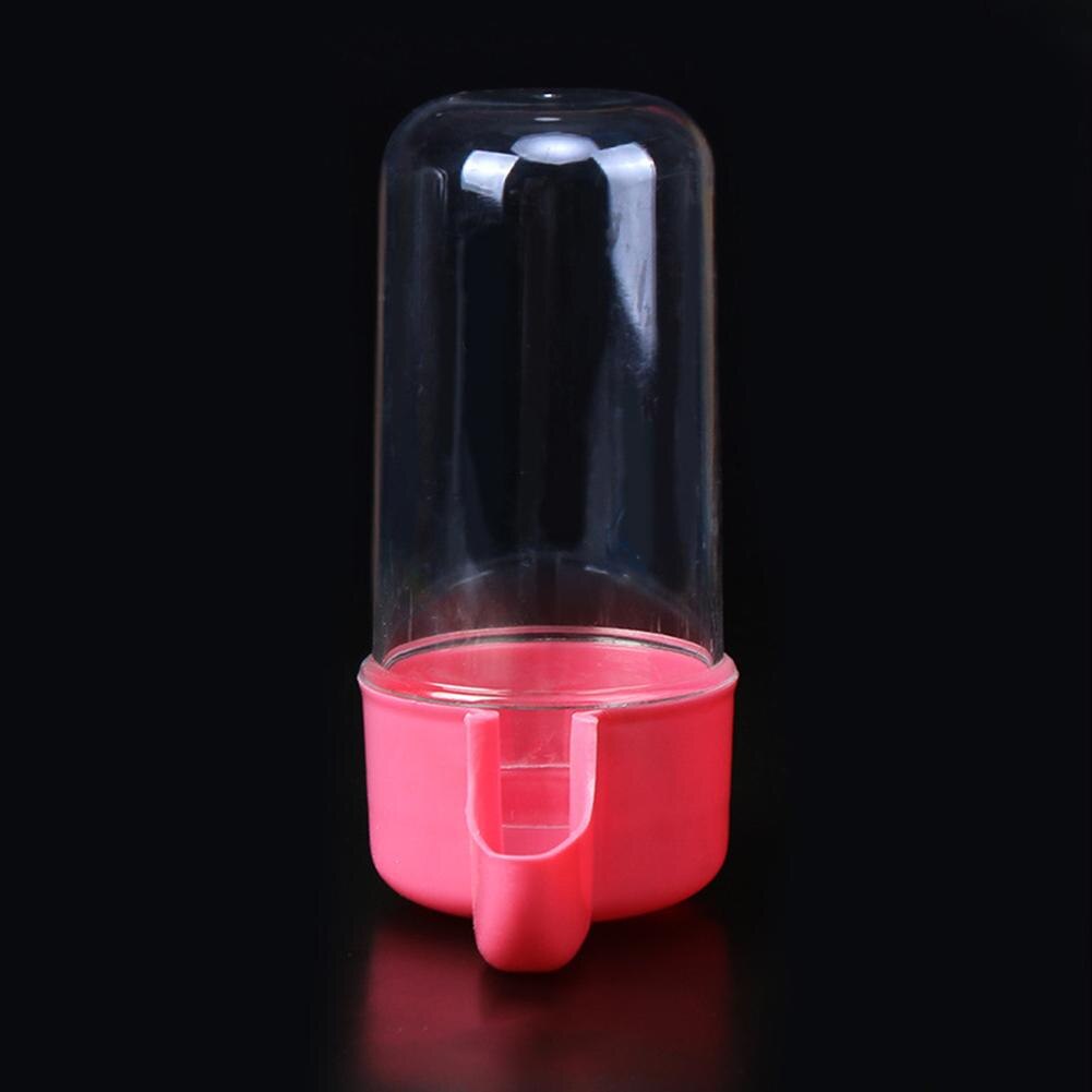 200ml Bird Feeder Large Capacity Spill-proof Water Dispenser Automatic Feeder Bowls Cage Accessories