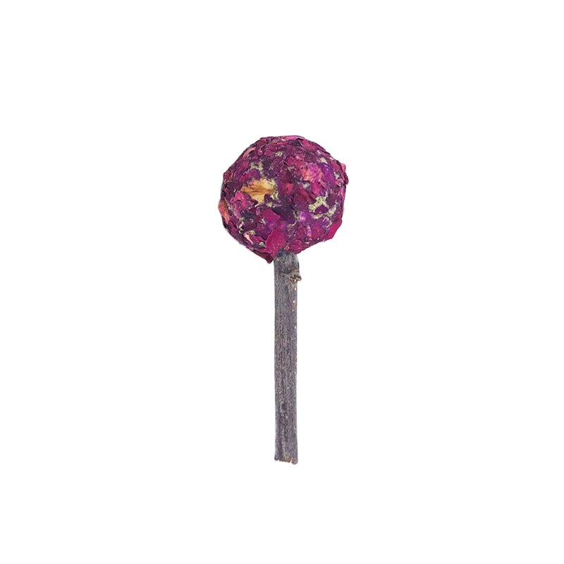 Hamster Natural Flowers Lollipop Timothy Molar Rod Hay Chewing Stick Chew Treat For Rabbits Chinchilla Guinea Pigs Gerbils