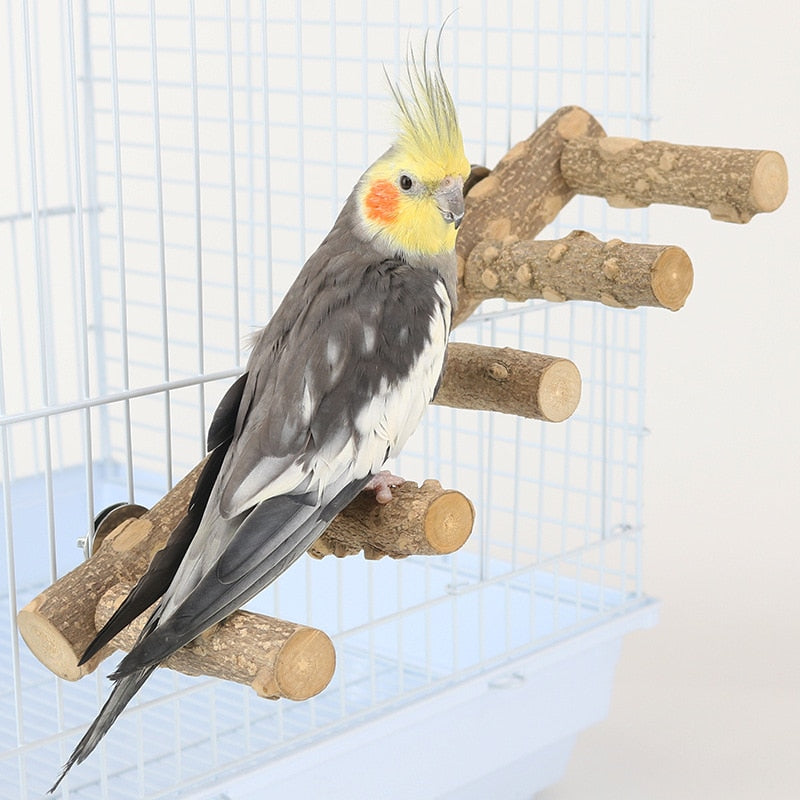 31CM Natural Wood Parrot Perch Bird Stand Paw Grinding Fork Parakeet Climbing Standing Branch Ladder Toys Bird Cage Supplies