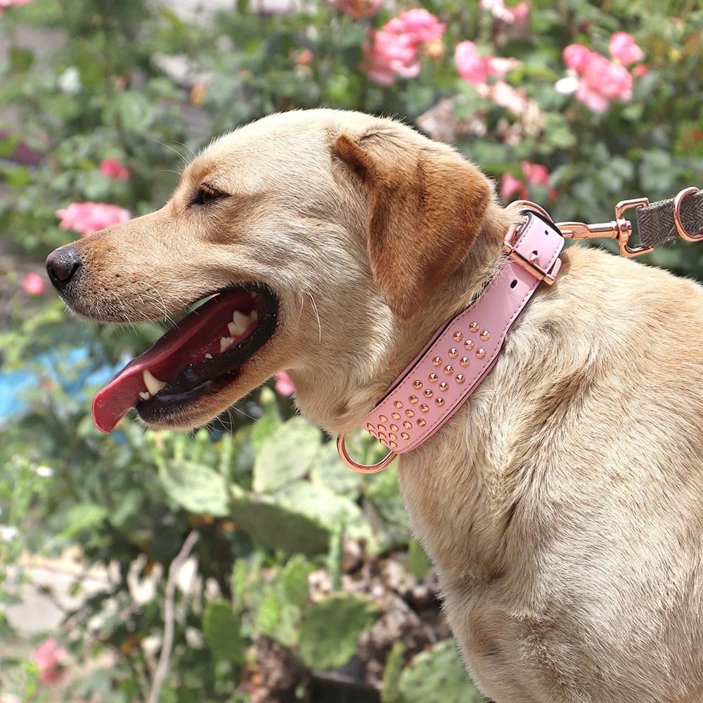 Studded Leather Dog Collar Durable Big Dog Pet Collars German Shepherd Large Collars Adjustable for Medium Large Dog Pitbull