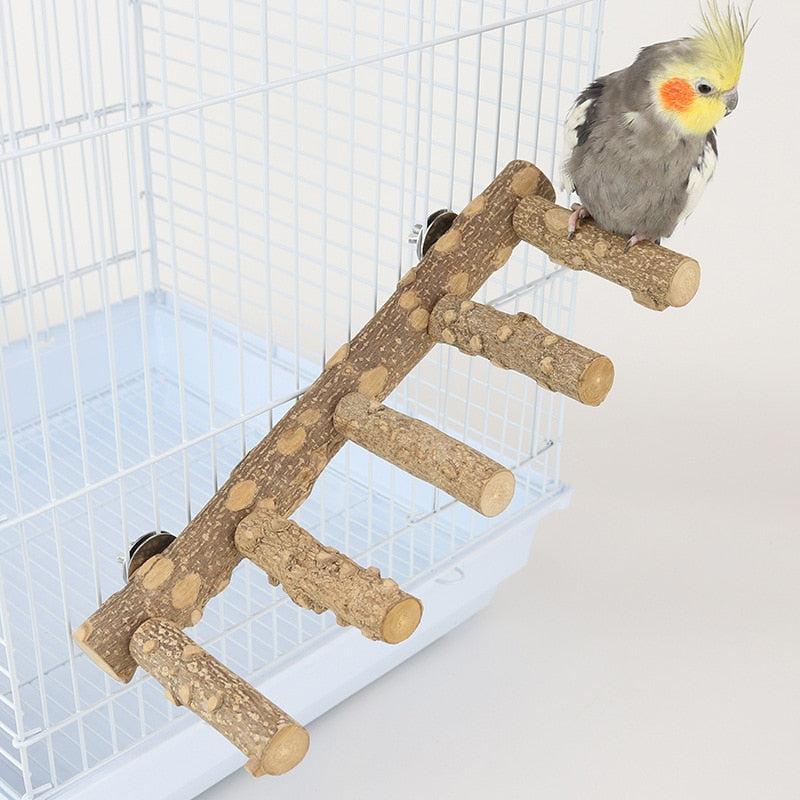 Natural Wood Parrot Perch Bird Stand Paw Grinding Fork Parakeet Climbing Standing Branch Ladder Toys Bird Cage Accessories