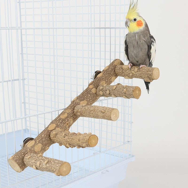 Natural Wood Parrot Perch Bird Stand Paw Grinding Fork Parakeet Climbing Standing Branch Ladder Toys Bird Cage Accessories