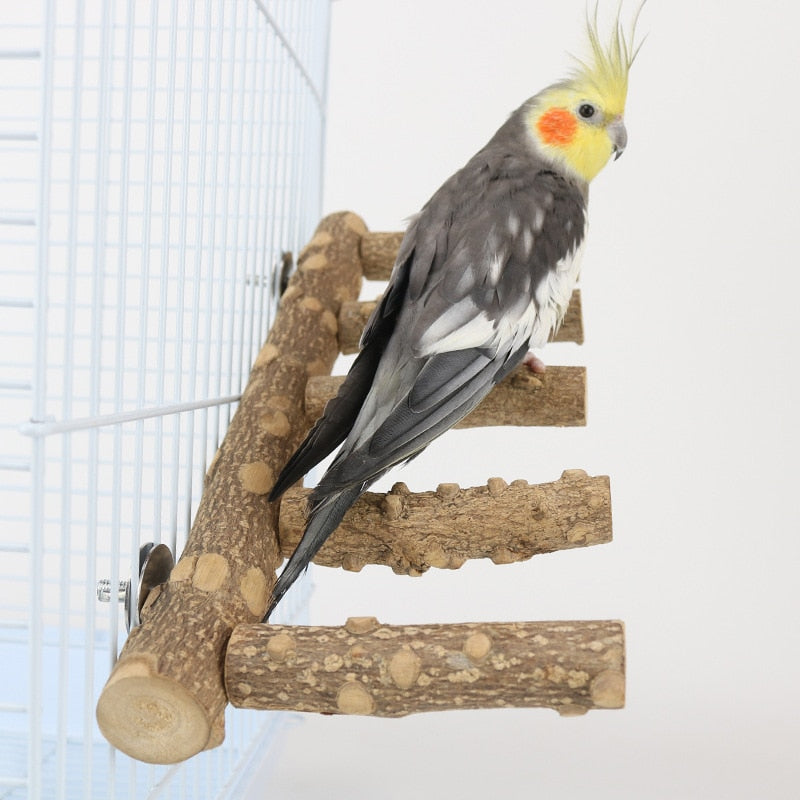 Natural Wood Parrot Perch Bird Stand Paw Grinding Fork Parakeet Climbing Standing Branch Ladder Toys Bird Cage Accessories