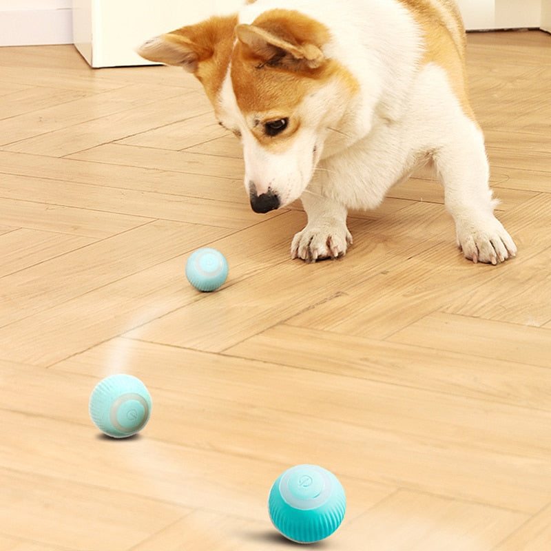 HOOPET Electric Rolling Ball Cat Toys Interactive Training For Small Dog Automatic Self-moving Kitten Toy Pet Accessories