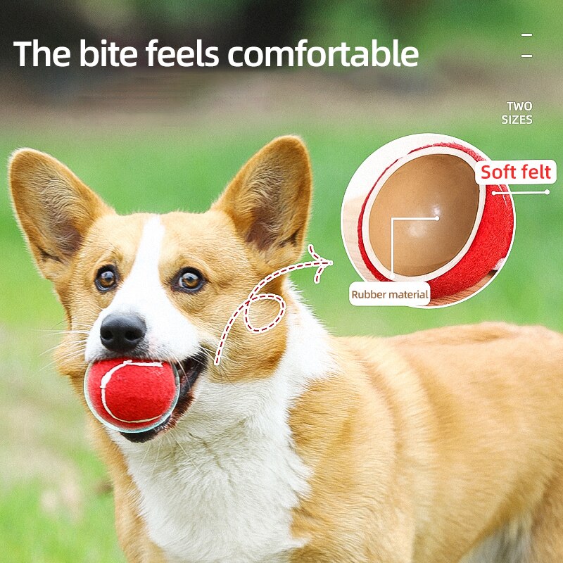 HOOPET Cat Toy Ball Interactive Cat Toys Play Chewing Scratch Ball Training Pet Supplies Pet Accessories