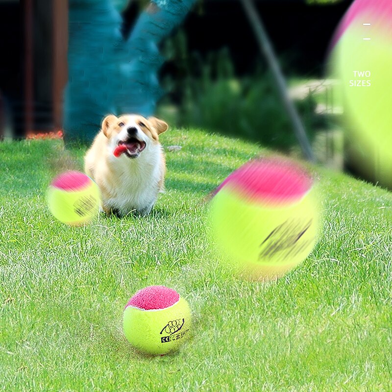 HOOPET Cat Toy Ball Interactive Cat Toys Play Chewing Scratch Ball Training Pet Supplies Pet Accessories