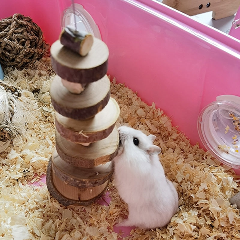 Hamster Chew Toy Small Pet Chinchilla Tooth Grinding Toy Organic Natural Apple Wood String For Guinea Pig Gerbils Cage Pendant