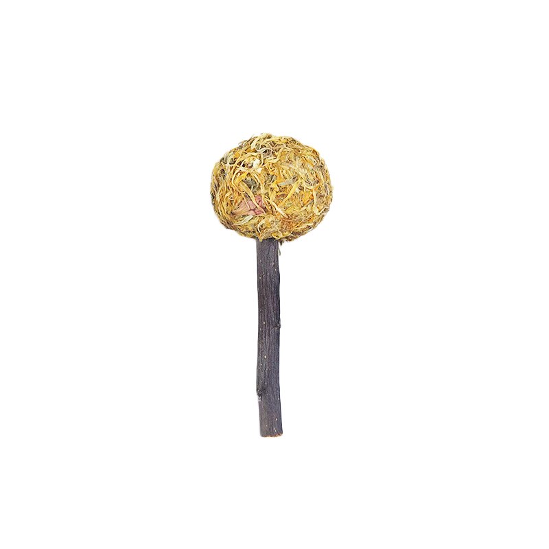 Hamster Natural Flowers Lollipop Timothy Molar Rod Hay Chewing Stick Chew Treat For Rabbits Chinchilla Guinea Pigs Gerbils