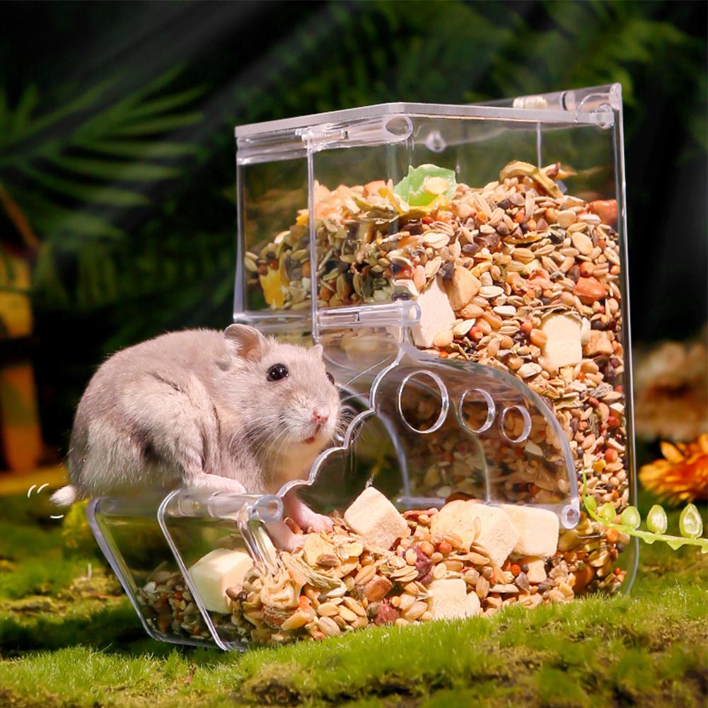 Pet Clear Automatic Feeder Food Dispenser Food Bowl Container For Hamster Chinchilla Rabbit Golden Bear