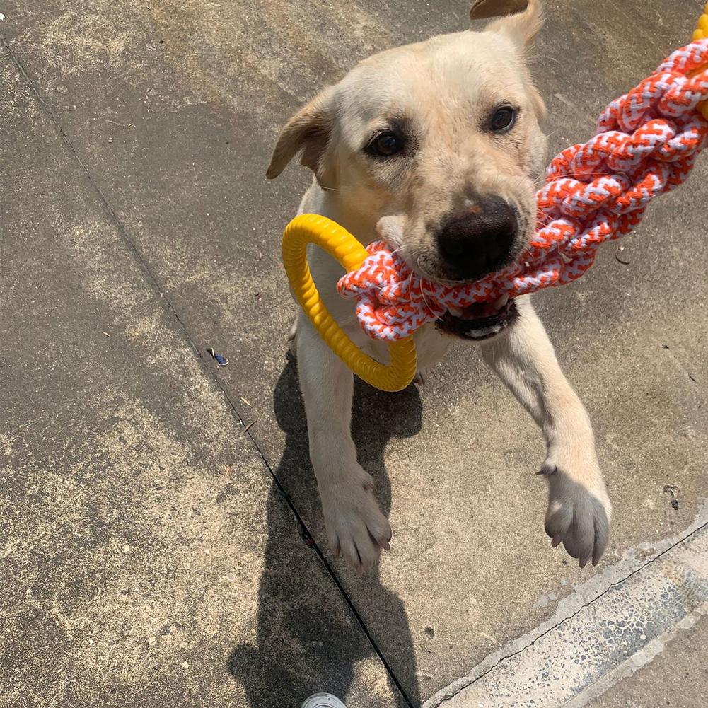 Pet Cotton Rope Toy For Aggressive Chewers Indestructible Bite-resistant Tug Of War Toy For Medium Large Dogs