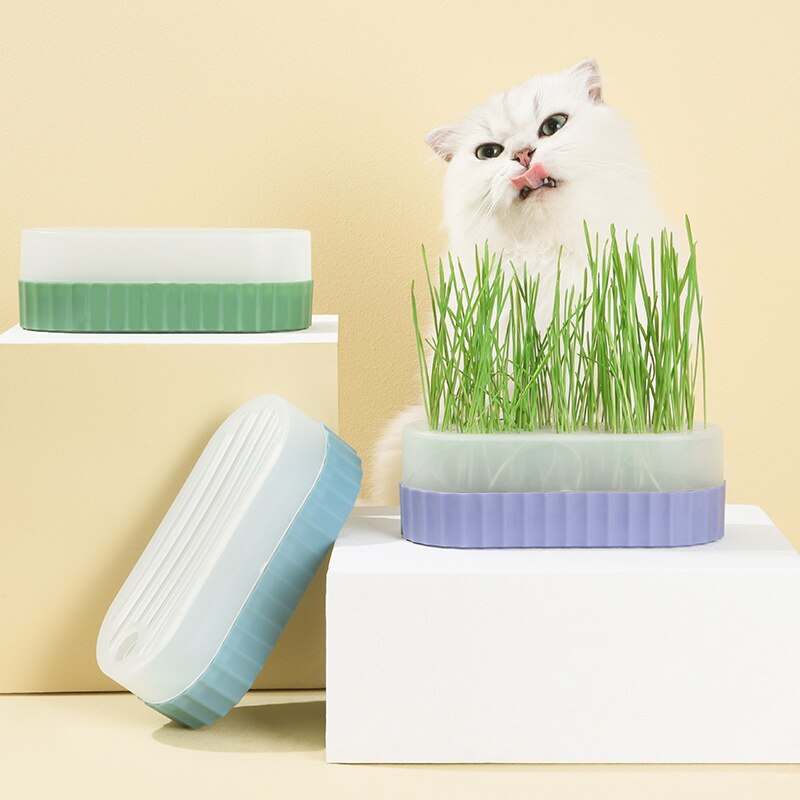 1pcs Cat Snack Mint Planting Hydroponic Box Cats Grass Pot Color Contrast Hydroponic Cat Grass Box Det Grass Planting Bowl