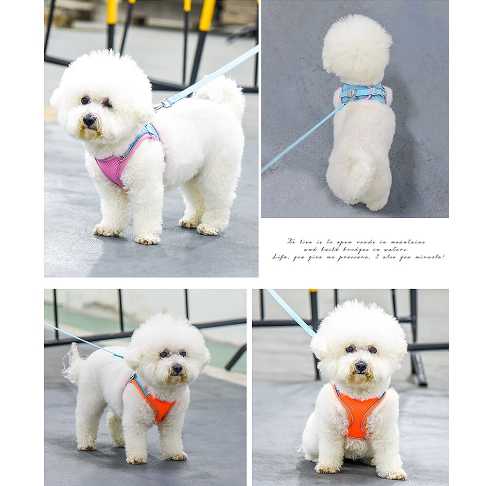Small Cat Puppy Harness Leash Set Soft Breathable Pet Cat Harness Mesh Cat Vest with Lead for Small Cat Dogs Chihuahua Kitten