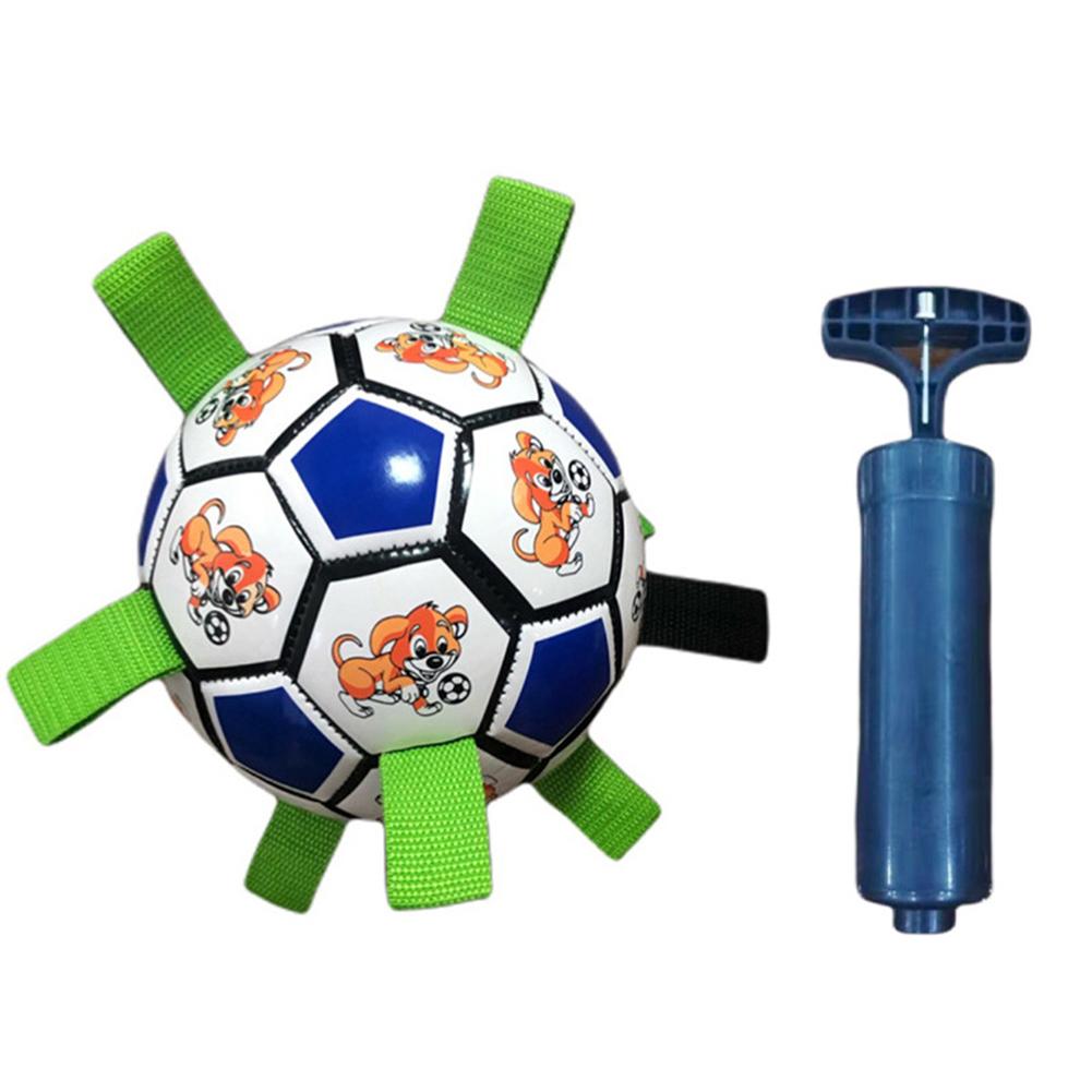 Pet Dog Football Toys Multi-functional Bite-resistant Dog Outdoor Interactive Training Toys Chew Toy