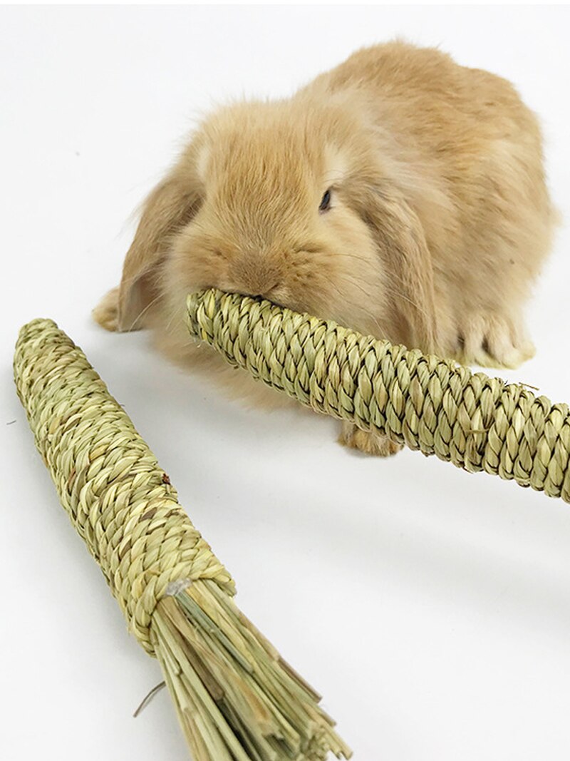 Rabbit Chew Toy Guinea Pigs Chew Treat Play Molar Toy Cage Entertainment Accessories For Bunny Hamsters Rat Chinchilla Gerbils
