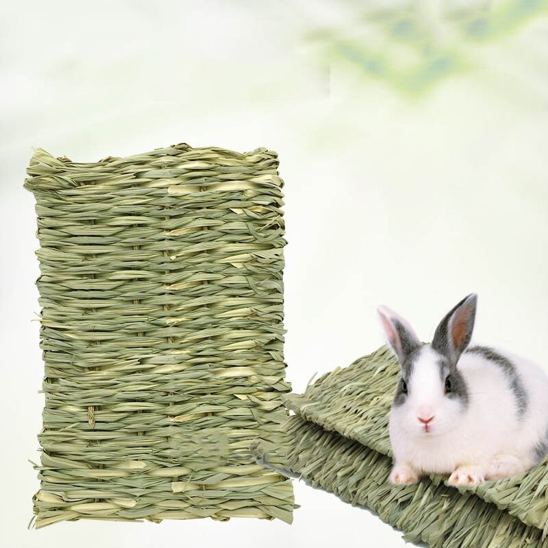 10Types(1Set) Small Pet Chew Toys Hay For Guinea Pig Rabbit Hamster Gerbil Teeth Cleaning Toys Branches Carrot Toy Pet Supplies